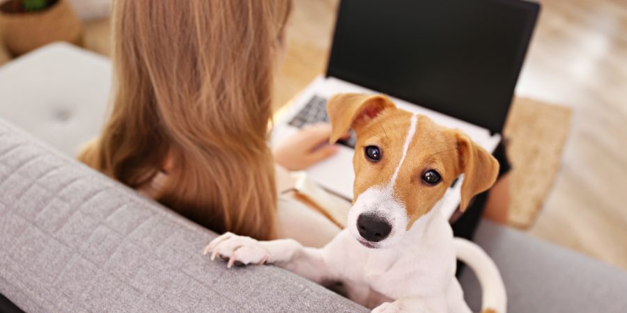Woman_Dog